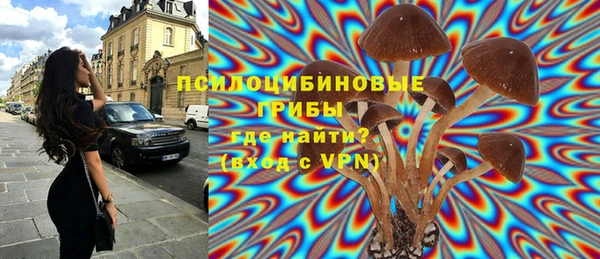 прущая мука Верея