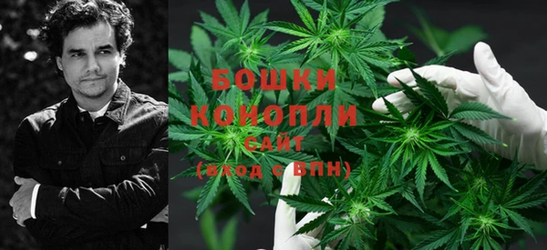 прущая мука Верея