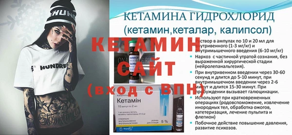 шишки Сосновка