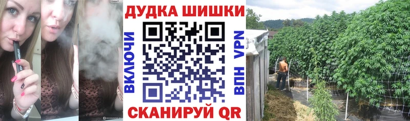 Конопля MAZAR  Георгиевск 